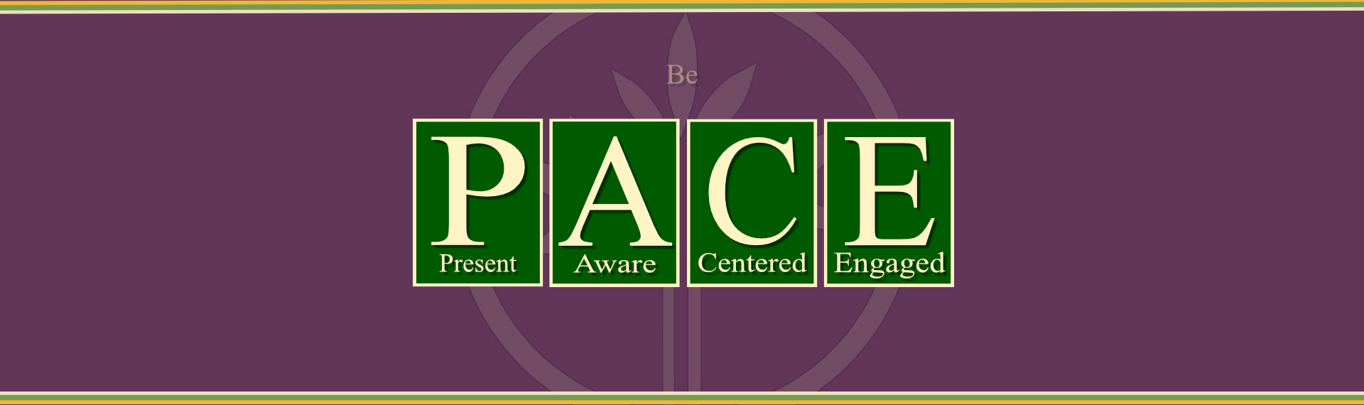 PACE Defined
