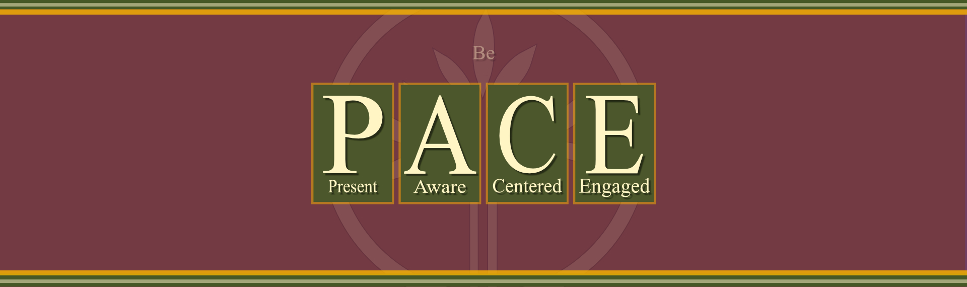 PACE Defined